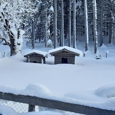 Готель Haus Silvia Флахау Екстер'єр фото